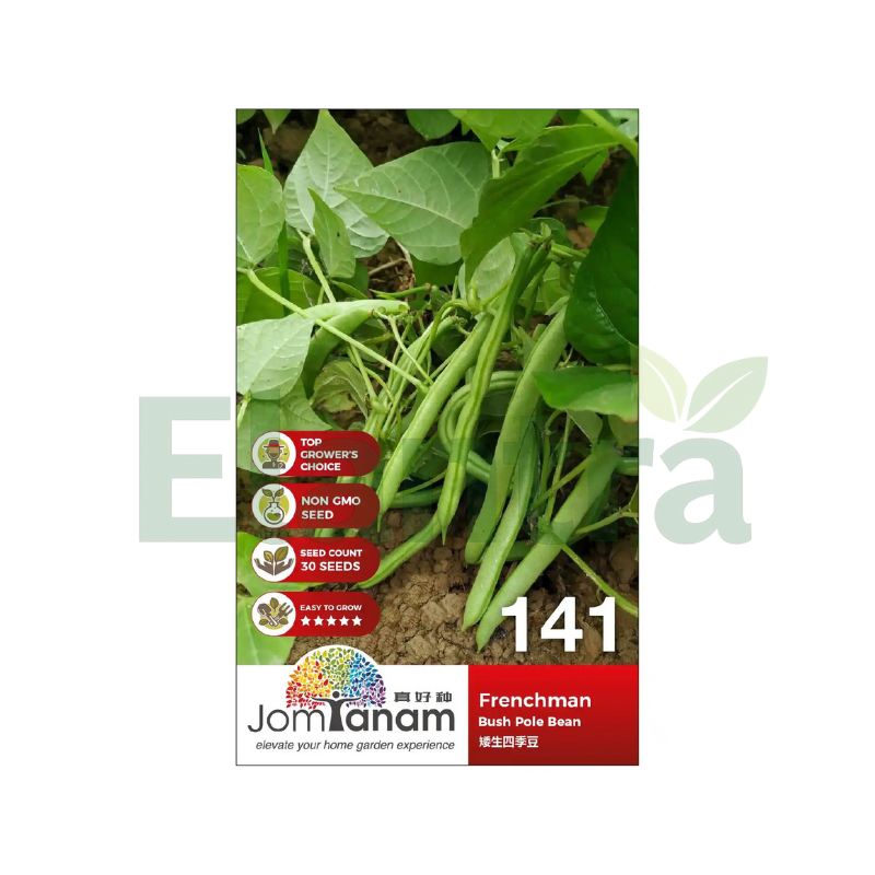 141 BUSH POLE BEAN
